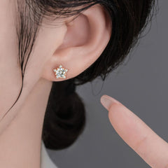 0.5ct/1.0ct Star Moissanite Stud Earrings